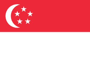 esim access flag