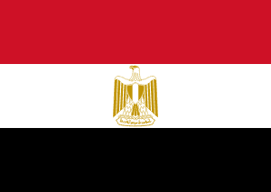 esim access flag