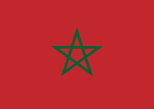 esim access flag