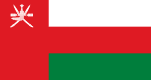 esim access flag