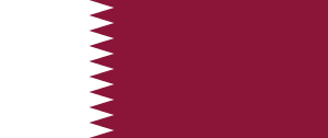 esim access flag