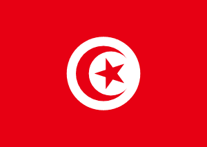 esim access flag