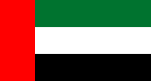 esim access flag