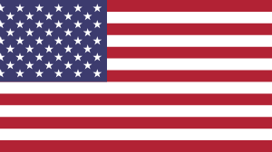 esim access flag